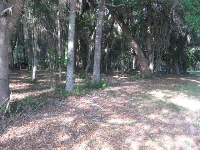 10 Chisolm Plantation Road Edisto Island, SC 29438 - Photo 13 of 28 10 Middleton new mowed (8)