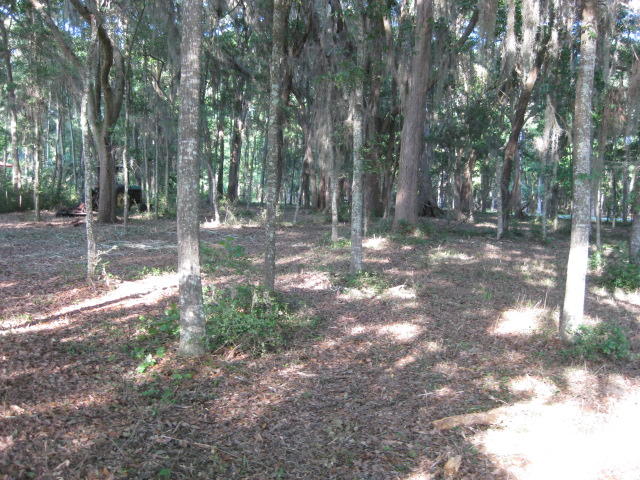 10 Chisolm Plantation Road Edisto Island, SC 29438 - Photo 14 of 28 10 Middleton new mowed (9)