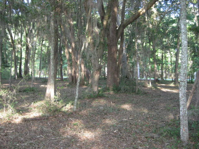10 Chisolm Plantation Road Edisto Island, SC 29438 - Photo 15 of 28 10 Middleton new mowed (10)