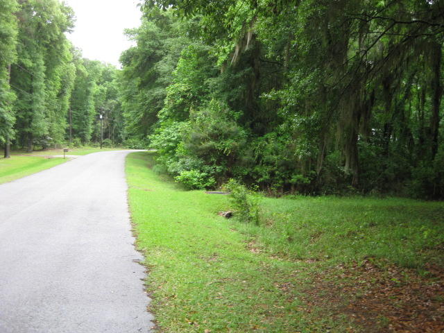 10 Chisolm Plantation Road Edisto Island, SC 29438 - Photo 19 of 28 10 Middleton (4)
