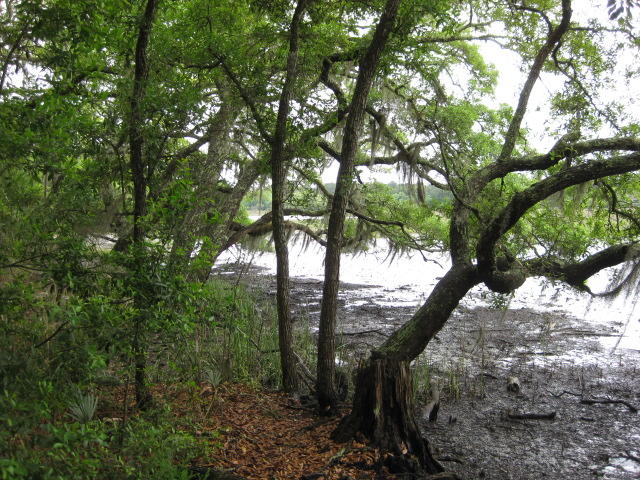 10 Chisolm Plantation Road Edisto Island, SC 29438 - Photo 21 of 28 10 Middleton (8)