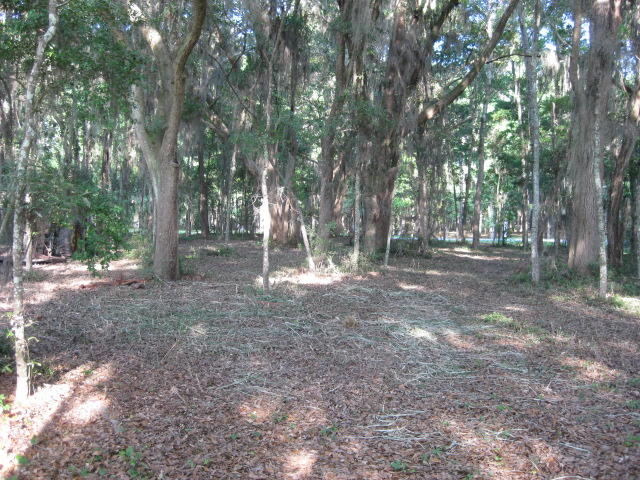 10 Middleton new mowed (1)