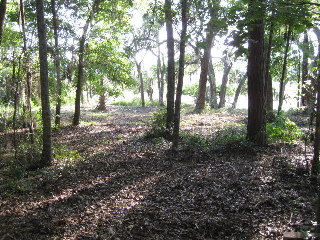 10 Middleton new mowed (2)