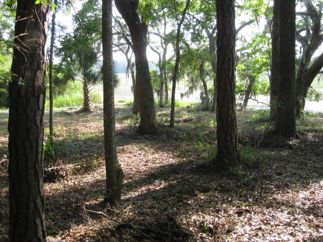 10 Middleton new mowed (3)