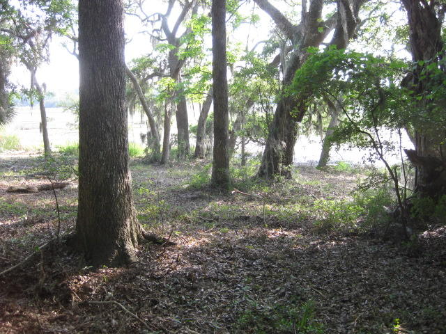 10 Chisolm Plantation Road Edisto Island, SC 29438 - Photo 8 of 28 10 Middleton new mowed (4)