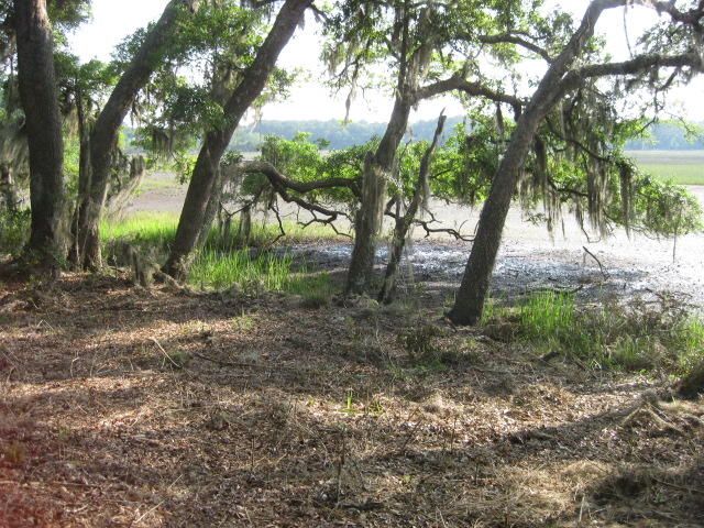 10 Chisolm Plantation Road Edisto Island, SC 29438 - Photo 9 of 28 10 Middleton new mowed (5)
