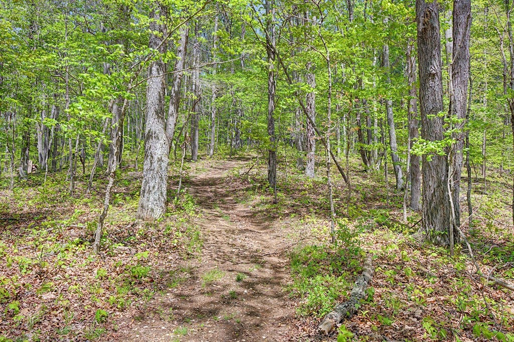 805 Sunset River Road Ceres, VA 24318 - Photo 53 of 77 Gallery Image 53