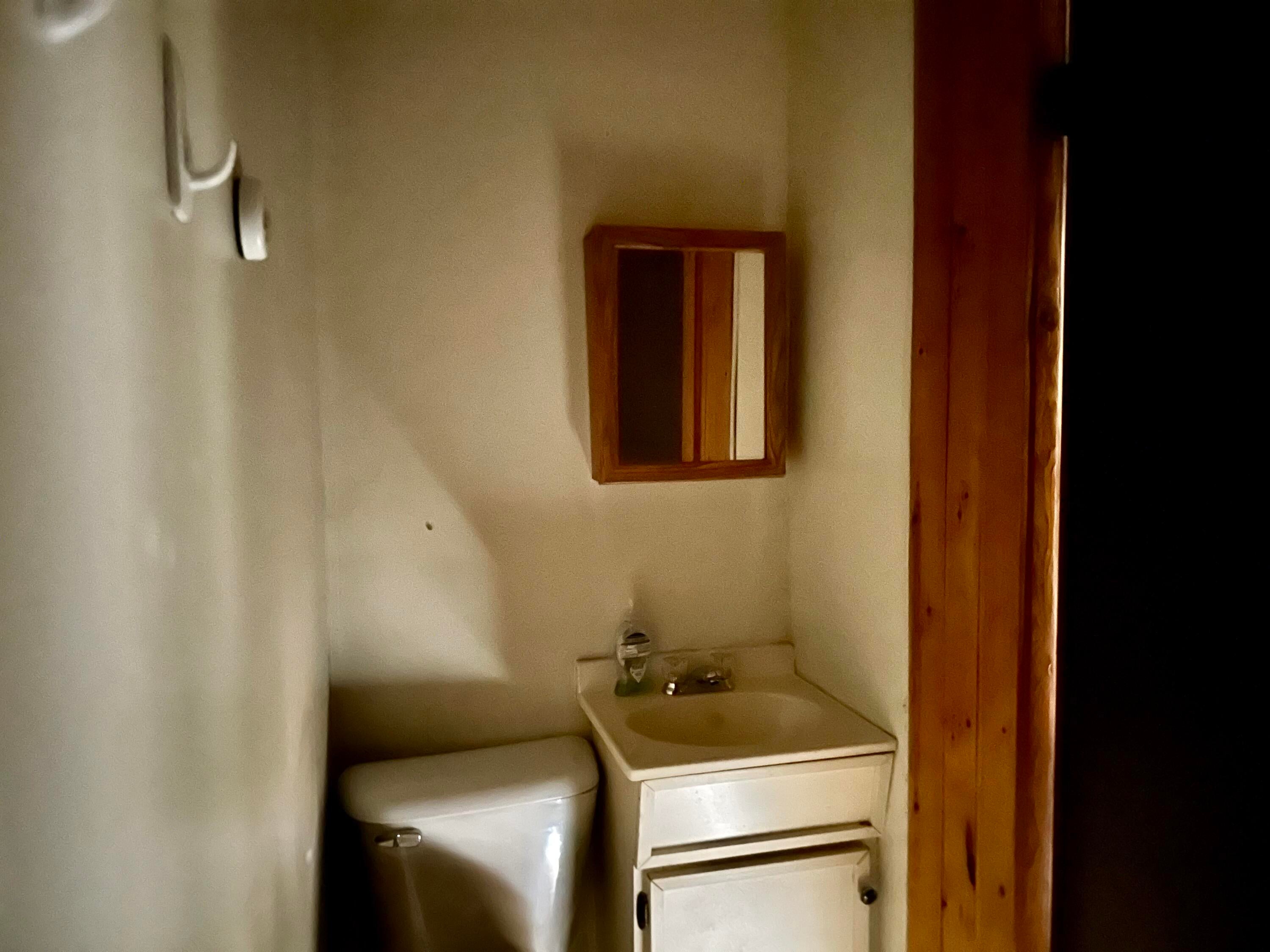 10058 Pinewood Road St. Helen, MI 48656 - Photo 13 of 15 Gallery Image 13