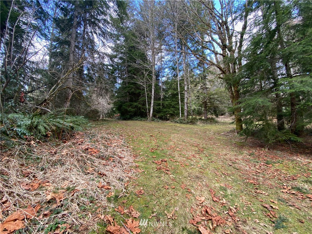 220 Short Road Morton, WA 98356 - Photo 14 of 21 Gallery Image 14