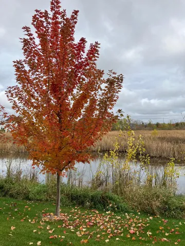 $389,900 | 11042 Yalta Street Northeast, Unit D, Blaine, MN 55449