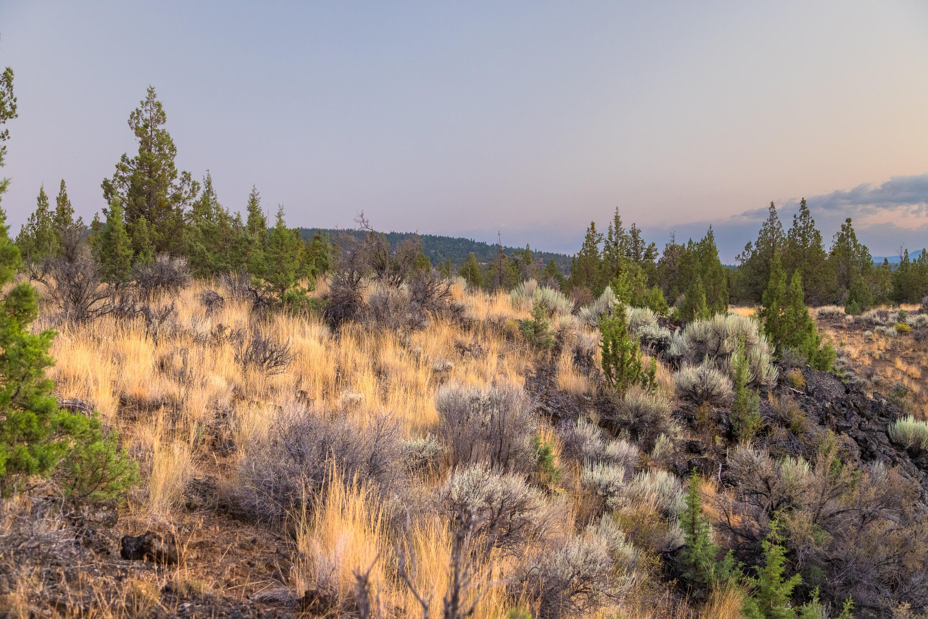 20005 Pacific Heights Rd Bend Bend, OR 97703 - Photo 11 of 19 18