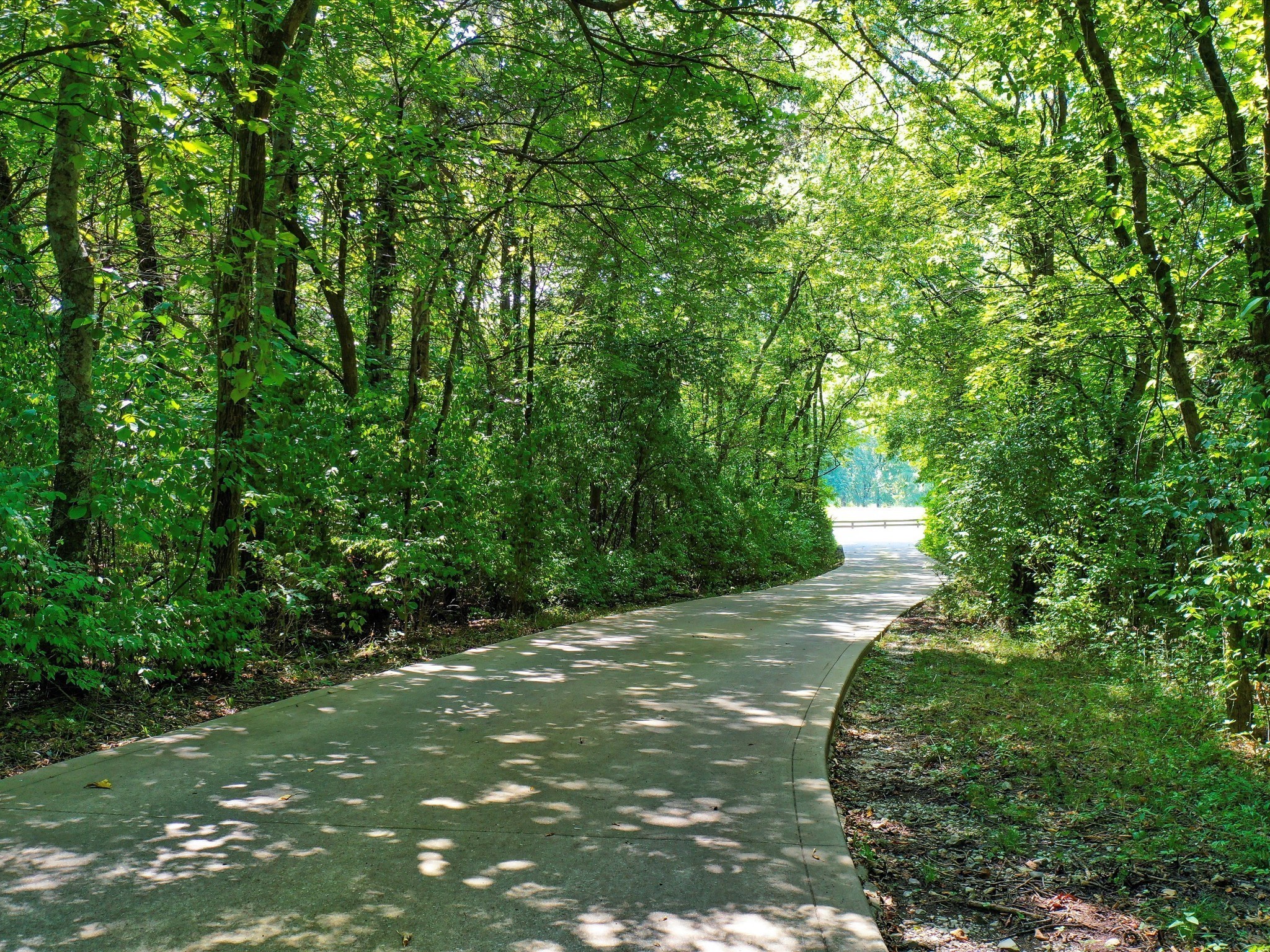 6480 Peytonsville-Arno Road College Grove, TN 37046 - Photo 5 of 96 a view of yard