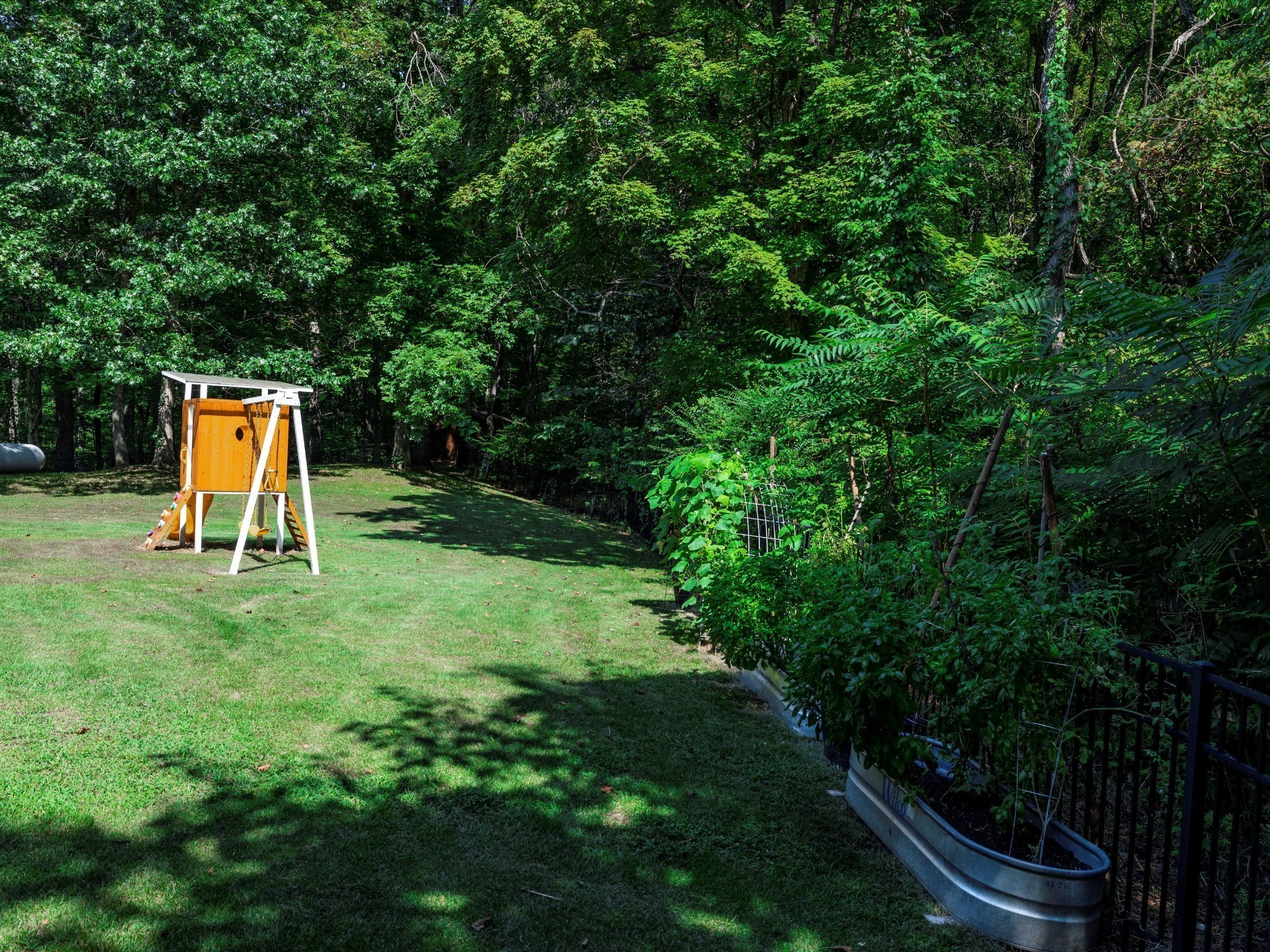 6480 Peytonsville-Arno Road College Grove, TN 37046 - Photo 84 of 96 a view of a backyard with a slide and a swing