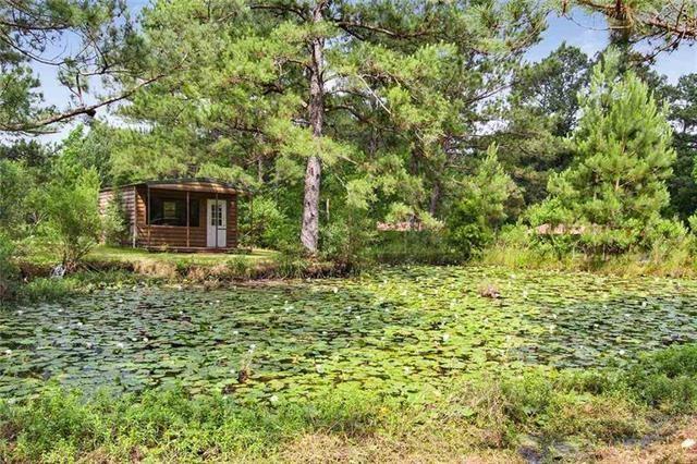 41 Ed Johnson Road Glenmora, LA 71433 - Photo 23 of 24 Gallery Image 23