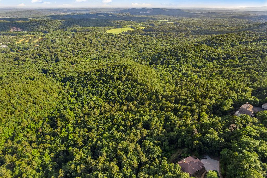 0 Mt Alto Road Southwest Rome, GA 30165 - Photo 1 of 12