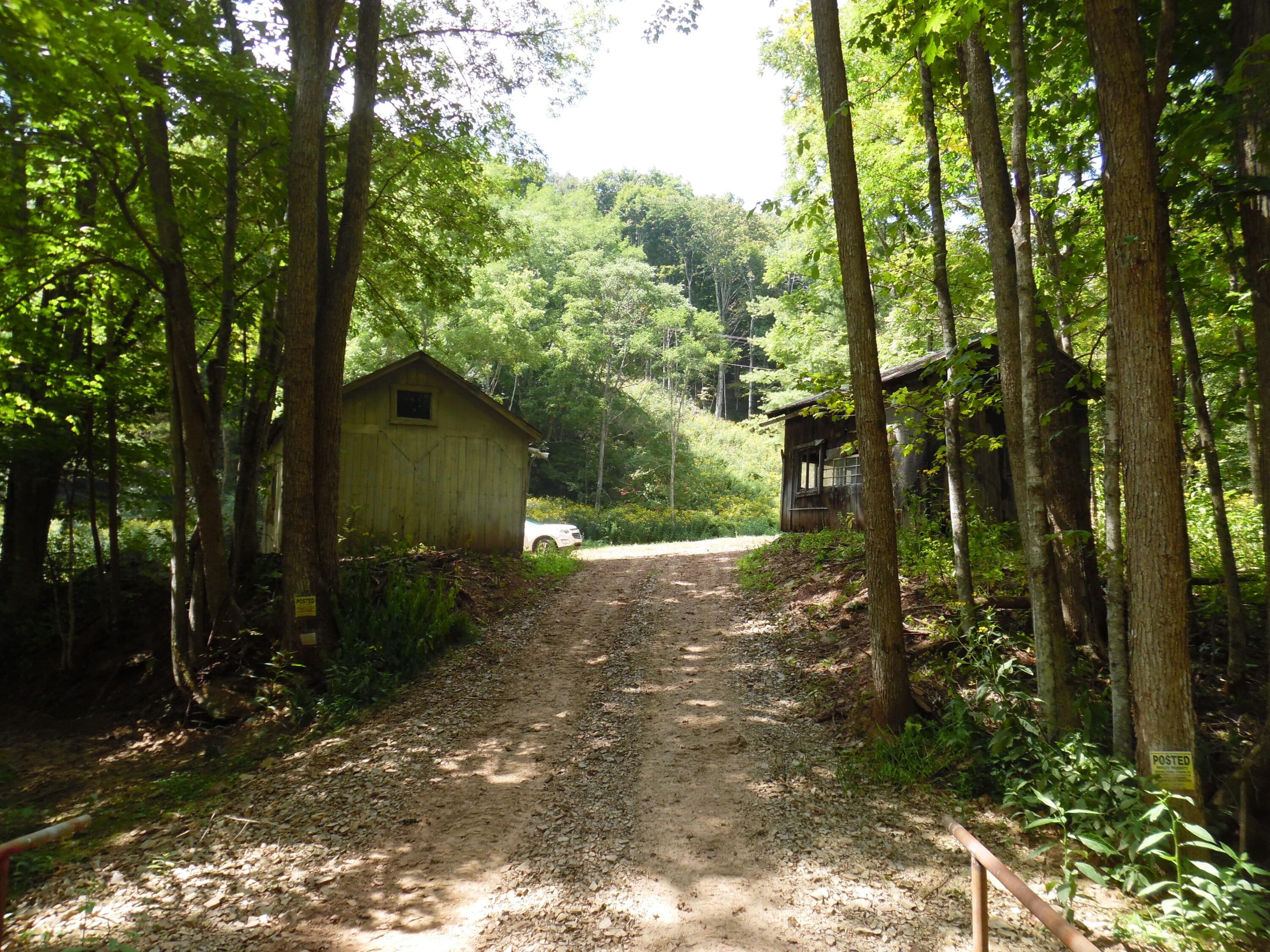 6234 Edray Road Cass, WV 24927 - Photo 1 of 66 Gallery Image 1