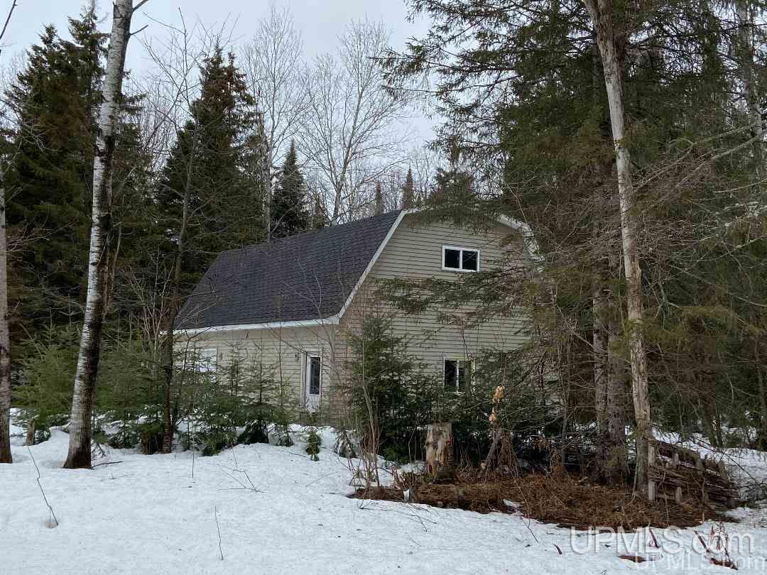 Tbd Degarmo Road Trenary, MI 49891 - Photo 19 of 34