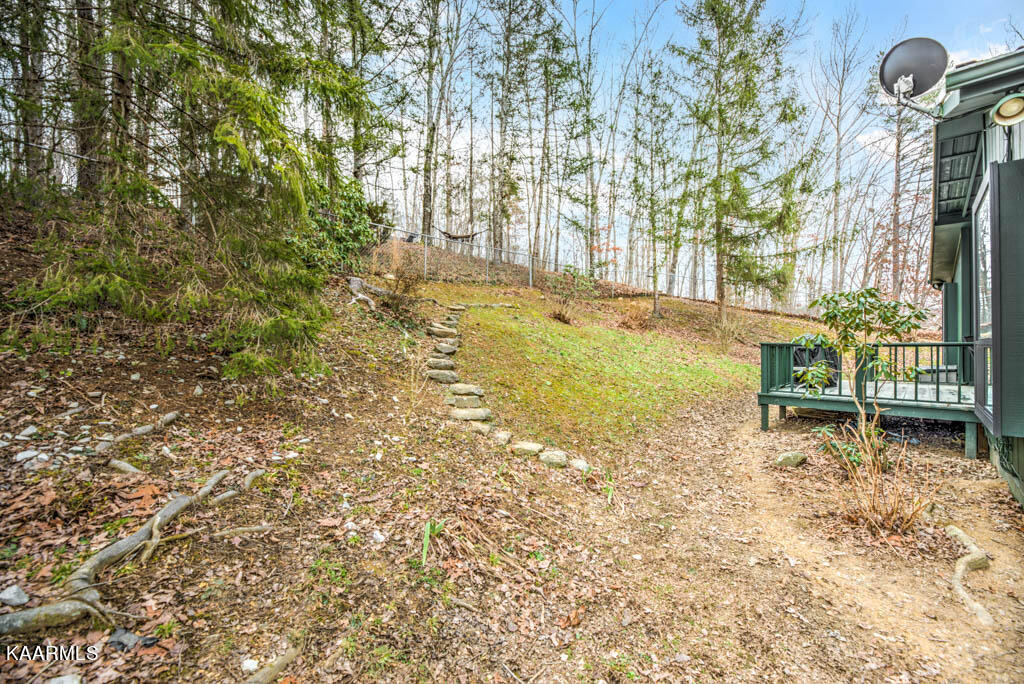 428 Carson Road Helenwood, TN 37755 - Photo 6 of 29 Crsn428-7