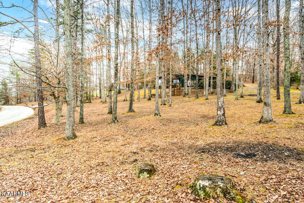 428 Carson Road Helenwood, TN 37755 - Photo 8 of 29 Crsn428-13