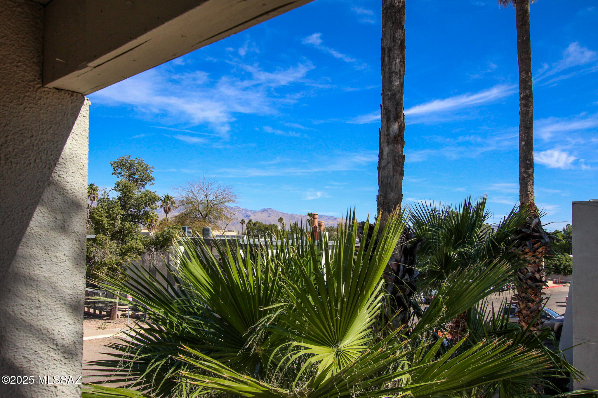 1620 North Wilmot Road, Unit P288 Tucson, AZ 85712 - Photo 30 of 32