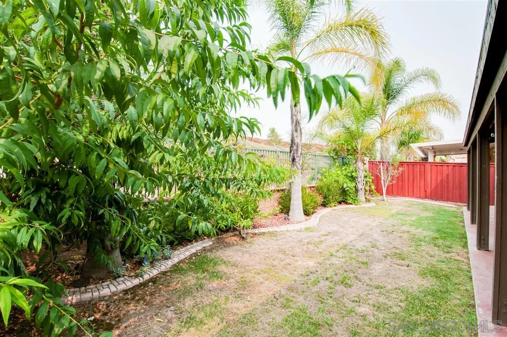 38305 Encanto Road Murrieta, CA 92563 - Photo 4 of 24 a view of a yard with plants