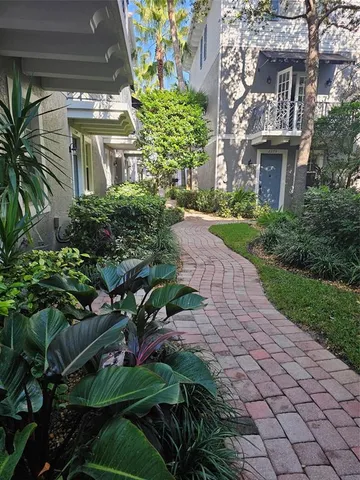 a view of a yard with plants and large trees