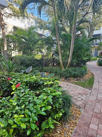 a view of a garden with plants