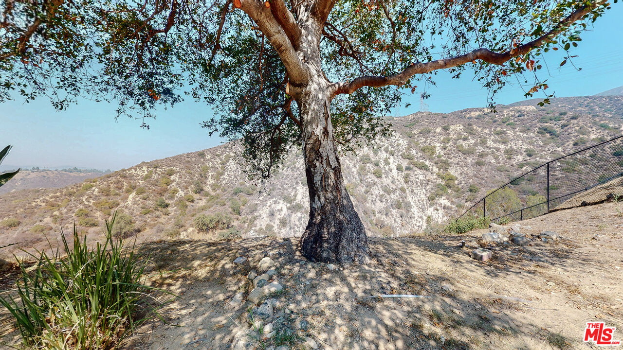 4535 El Prieto Road Altadena, CA 91001 - Photo 39 of 41 a view of a yard with a tree