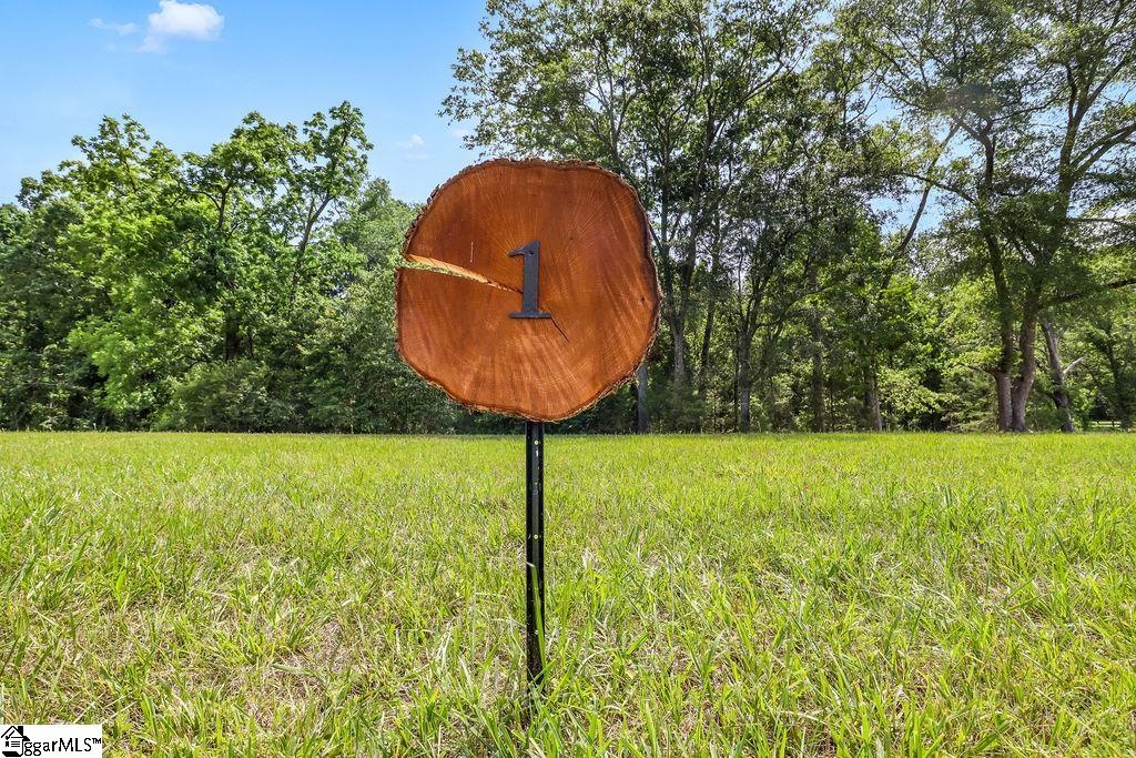 110 Flowing Rock Road, Unit LOT 1 Honea Path, SC 29654 - Photo 3 of 13