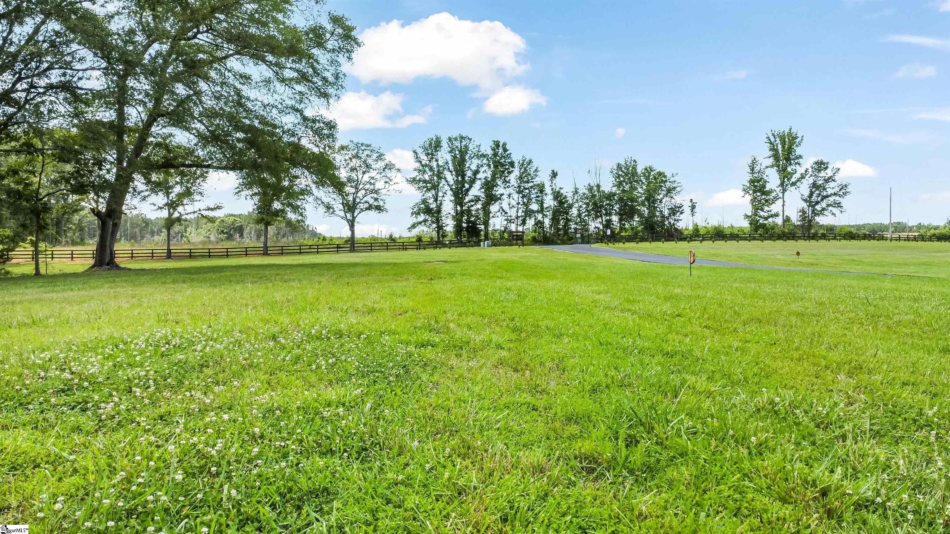 110 Flowing Rock Road, Unit LOT 1 Honea Path, SC 29654 - Photo 4 of 13