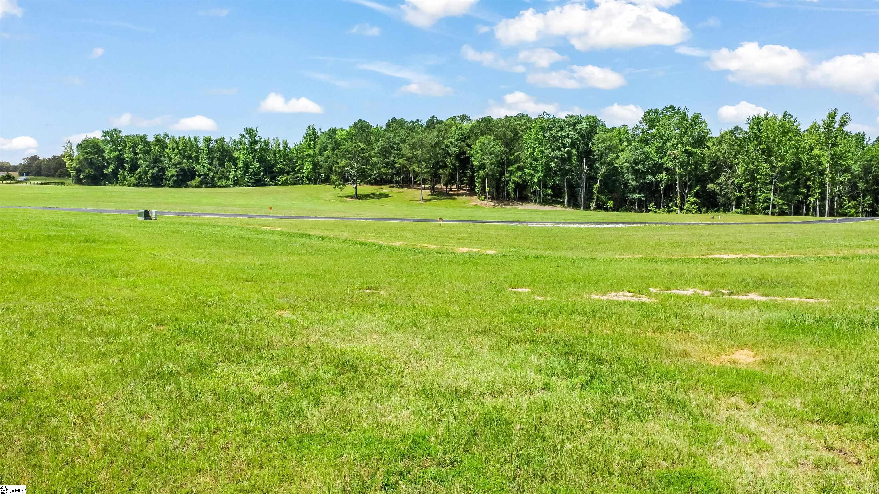 110 Flowing Rock Road, Unit LOT 1 Honea Path, SC 29654 - Photo 5 of 13