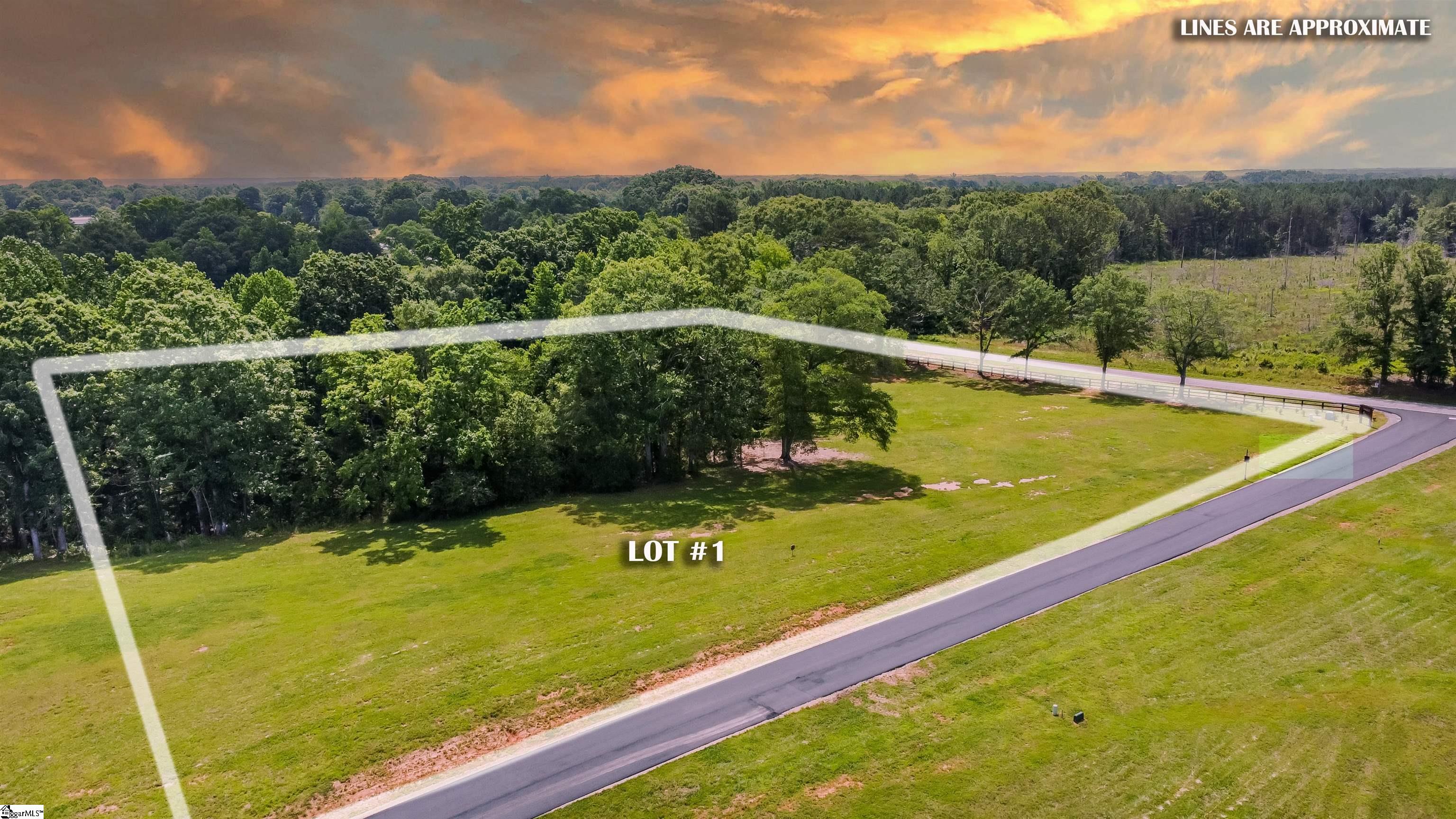 110 Flowing Rock Road, Unit LOT 1 Honea Path, SC 29654 - Photo 6 of 13