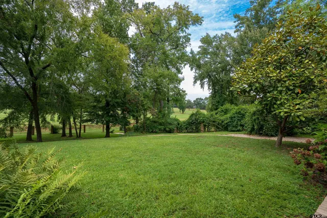 a view of a grassy field with trees in the background