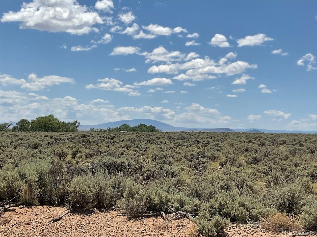 10 County Road North San Luis, CO 81152 - Photo 11 of 11 a view of a dry yard with lots of trees