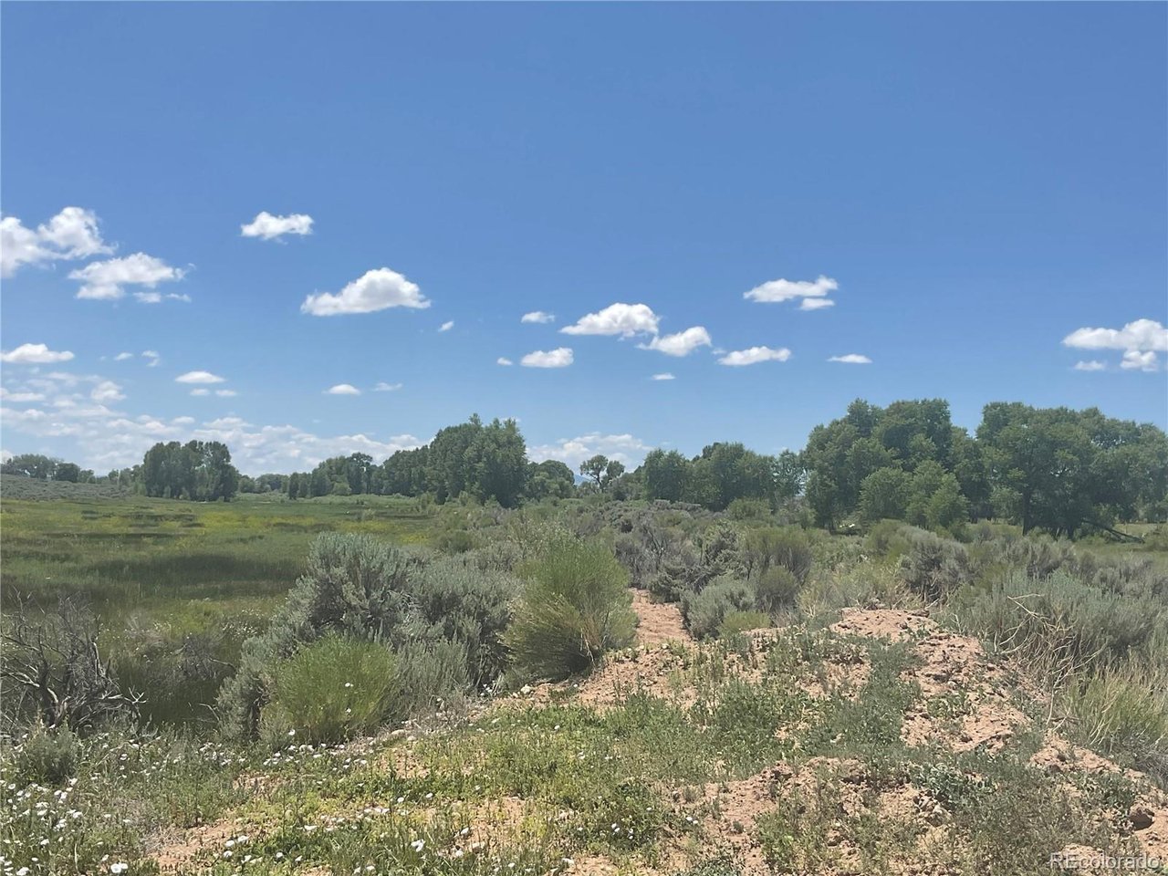 10 County Road North San Luis, CO 81152 - Photo 7 of 11 a view of a big yard with lots of green space