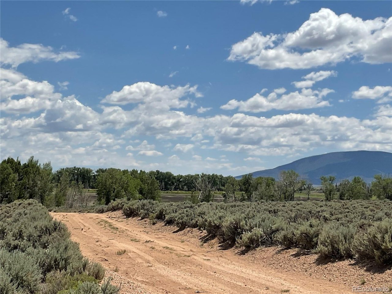 10 County Road North San Luis, CO 81152 - Photo 10 of 11 a view of a dry yard