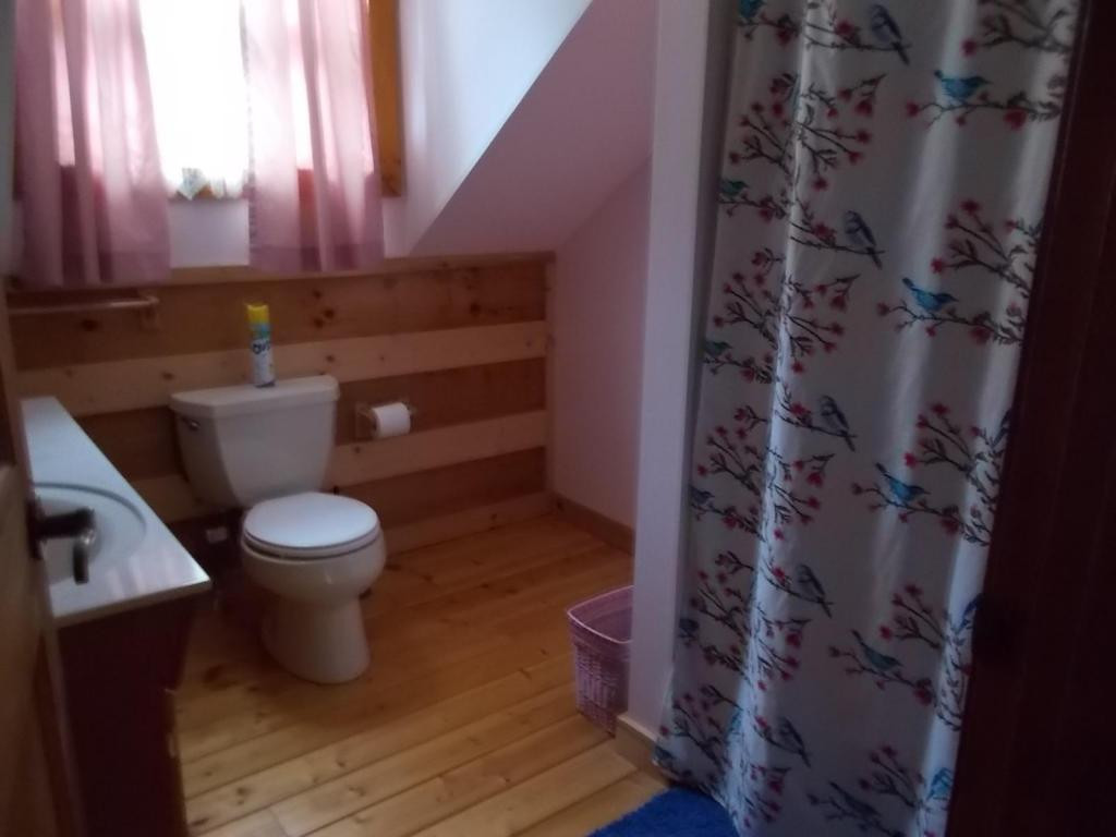 220 Lawing Road Chuckey, TN 37641 - Photo 16 of 24 upstairs bath 1