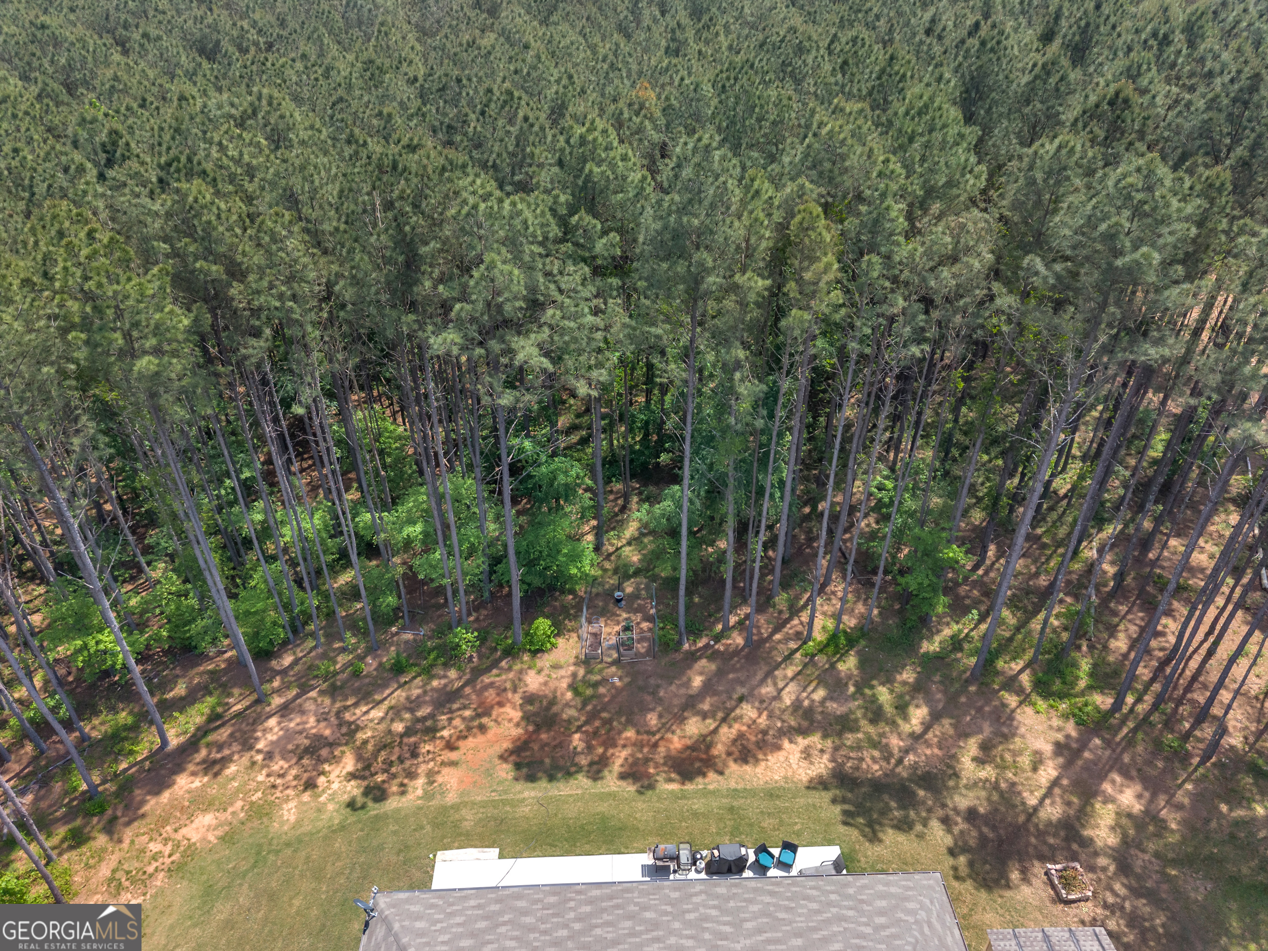 11614 Alcovy Road Covington, GA 30014 - Photo 60 of 62 a view of a yard