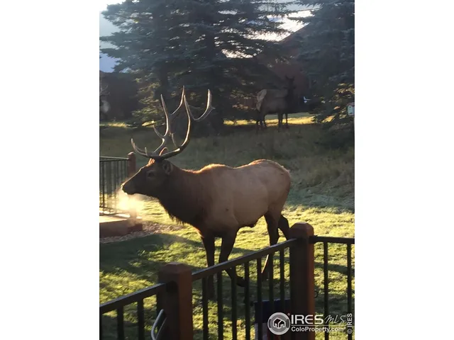 a view of a yard with an outdoor space