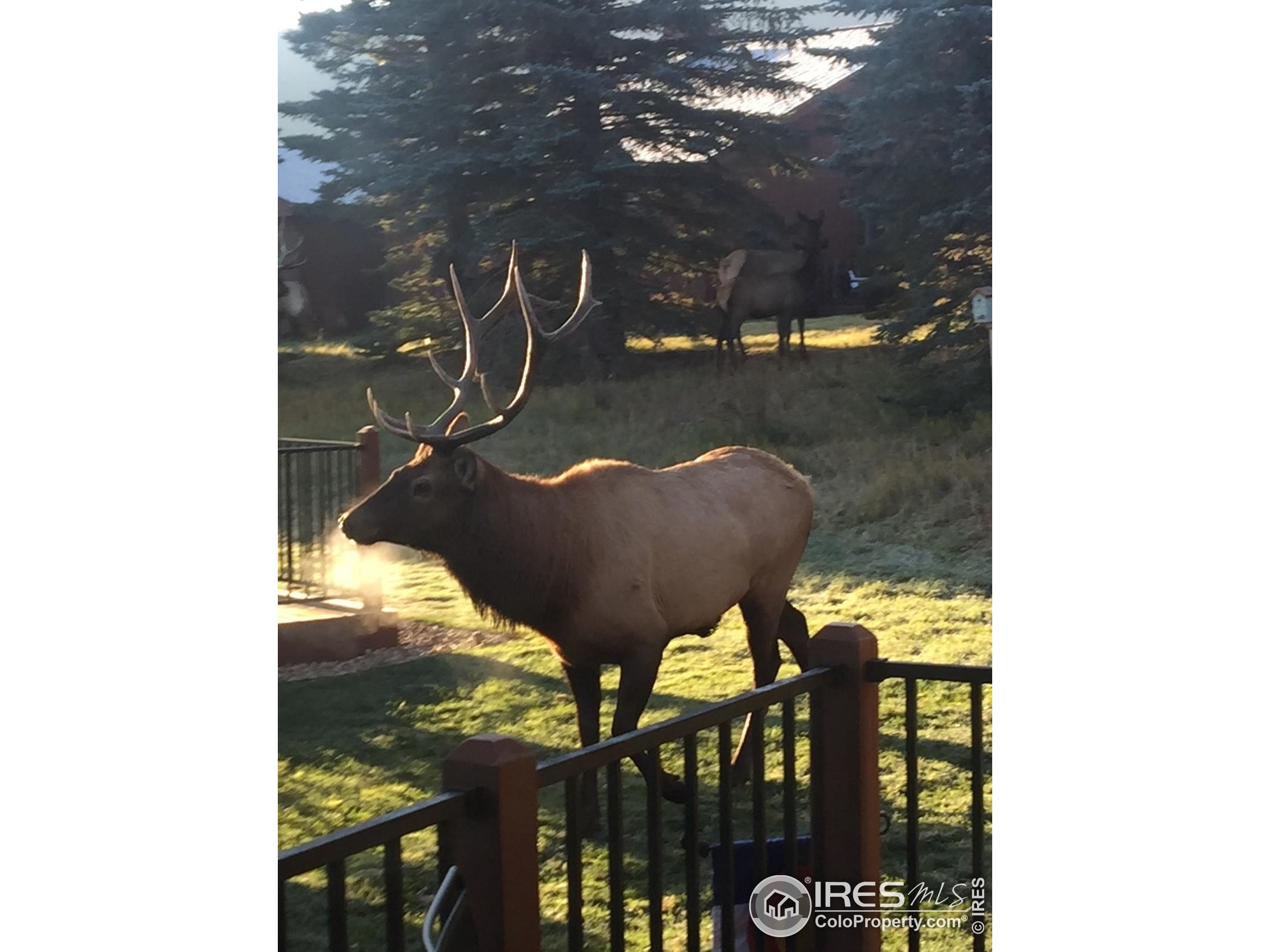 1422 Matthew Circle, Unit 2 Estes Park, CO 80517 - Photo 27 of 30