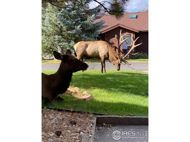 a view of a dining room with a table and chairs