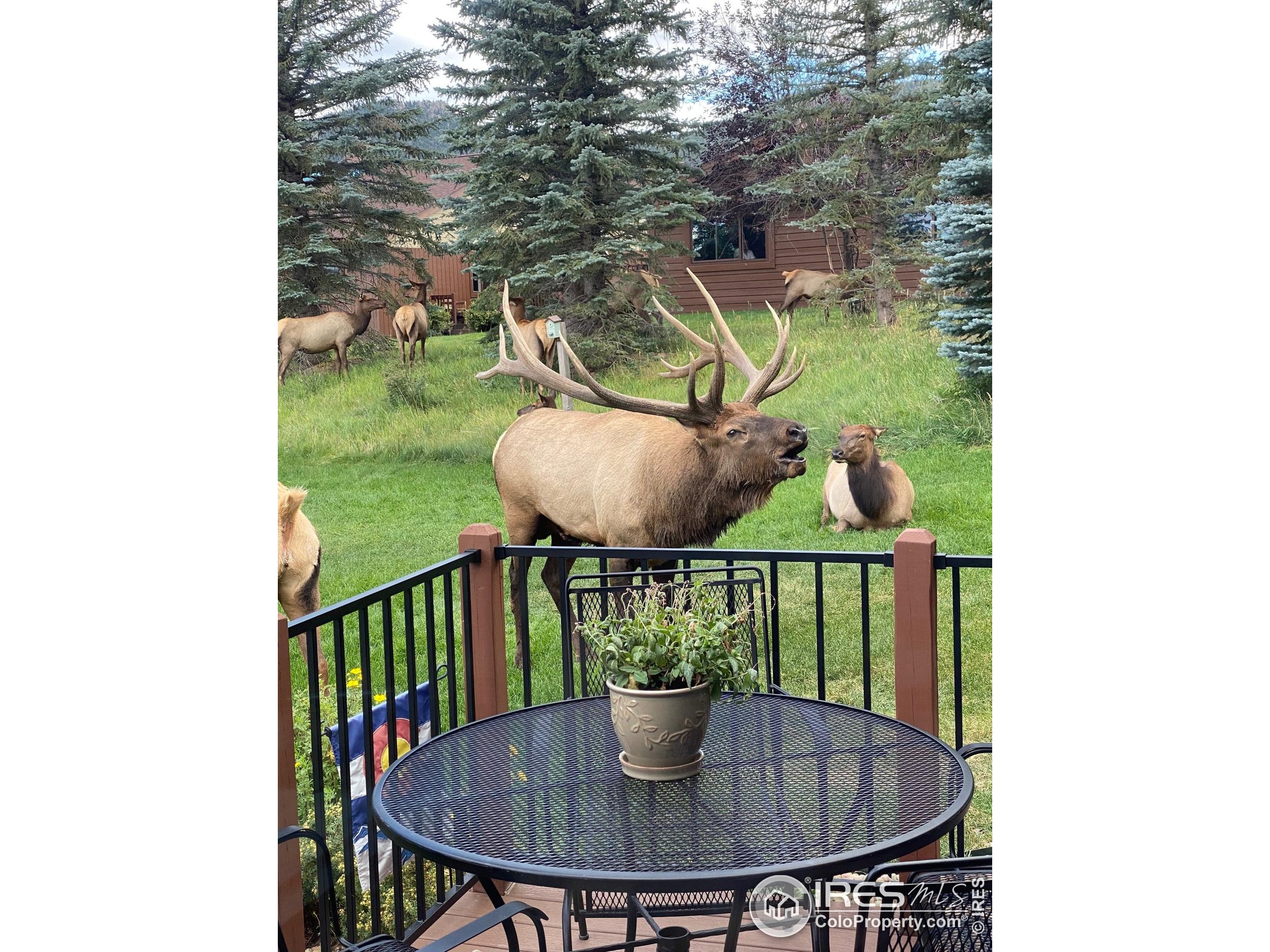 1422 Matthew Circle, Unit 2 Estes Park, CO 80517 - Photo 29 of 30 a view of a dining room with a table and chairs