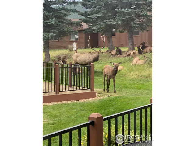 $519,900 | 1422 Matthew Circle, Unit 2, Estes Park, CO 80517