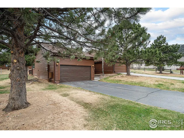 a view of a yard with a large tree