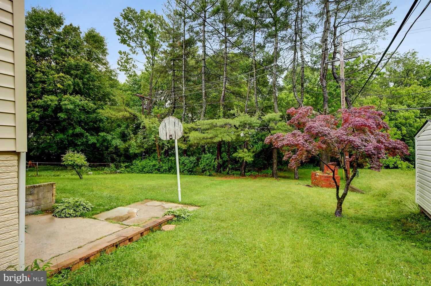 229 Candytuft Road Reisterstown, MD 21136 - Photo 22 of 24 Back Yard