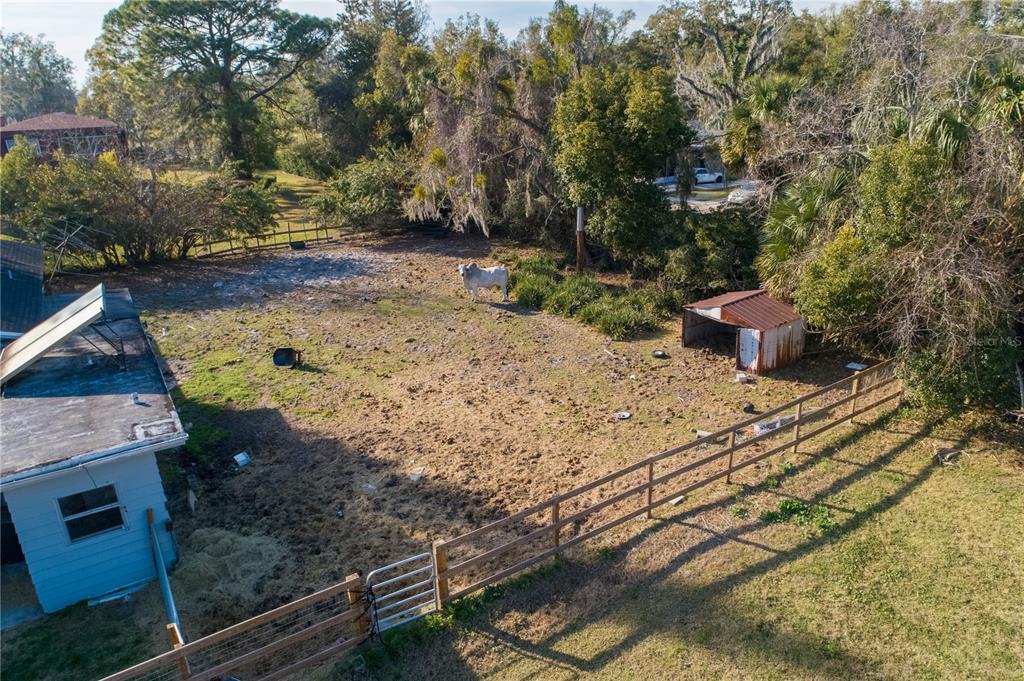 921 Vihlen Road Sanford, FL 32771 - Photo 20 of 26 a view of a backyard