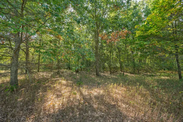 $26,000 | Lot 9 University Club Drive, Big Rapids, MI 49307