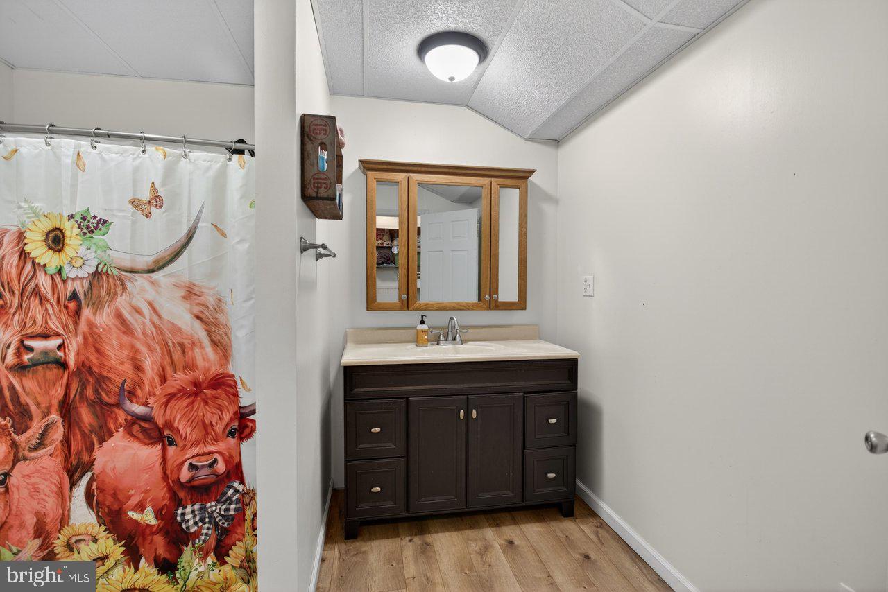 8570 South Middle Road Mount Jackson, VA 22842 - Photo 35 of 74