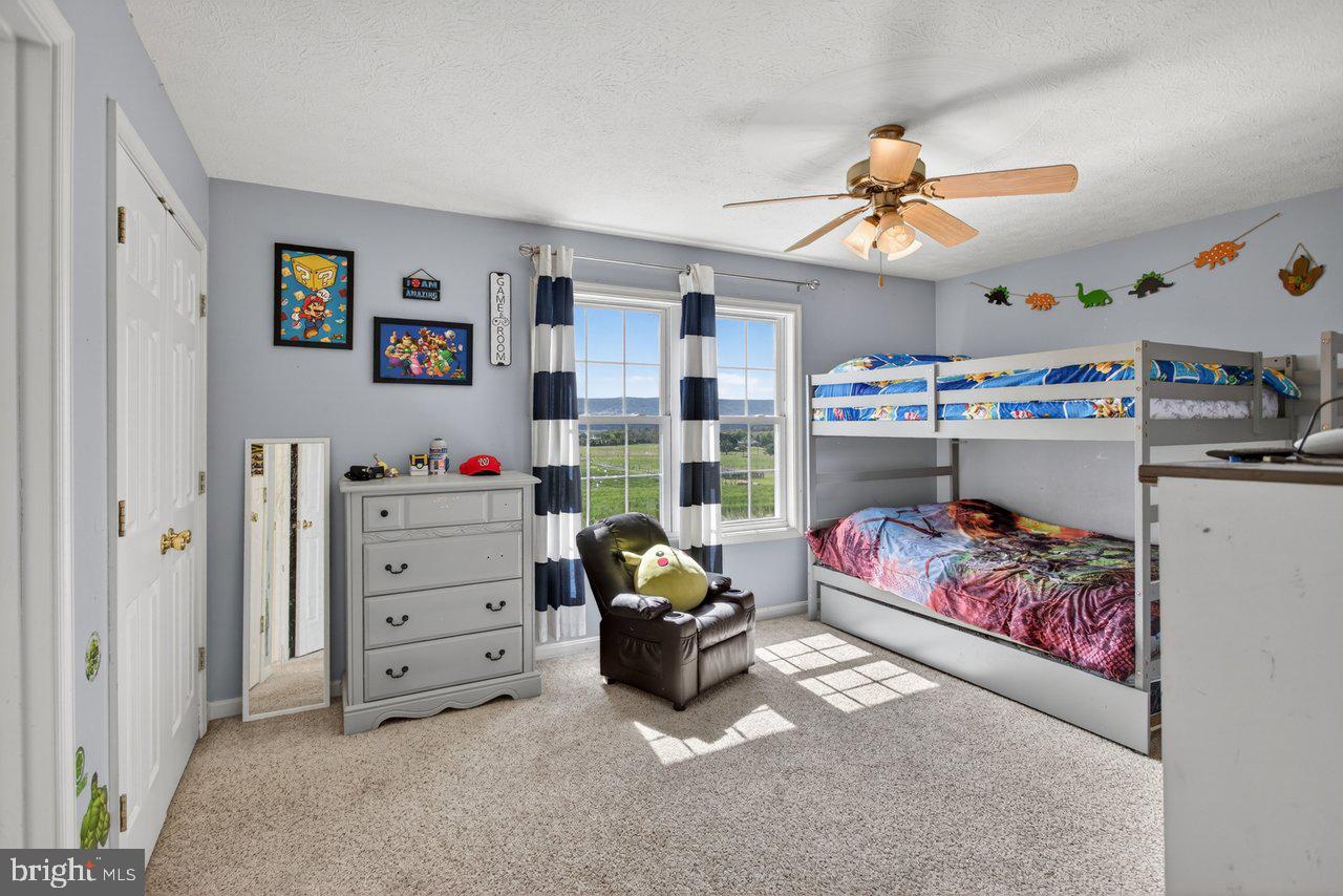 8570 South Middle Road Mount Jackson, VA 22842 - Photo 42 of 74