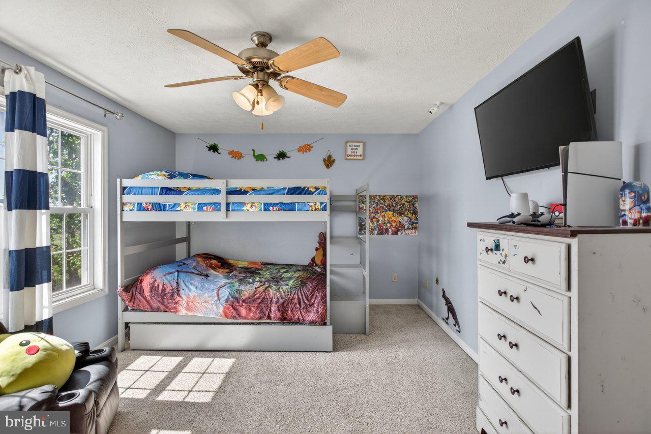8570 South Middle Road Mount Jackson, VA 22842 - Photo 43 of 74